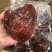 【卤猪肉】酱香肉真空肉一斤装猪肉牛肉江湖会展地摊卤菜店