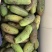 八月瓜直销