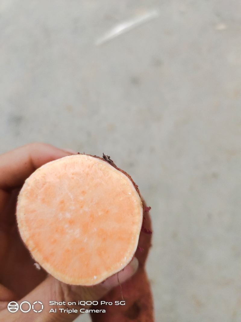 云南高原红皮蜜薯，传统耕种，口感好，喜欢的欢迎咨询