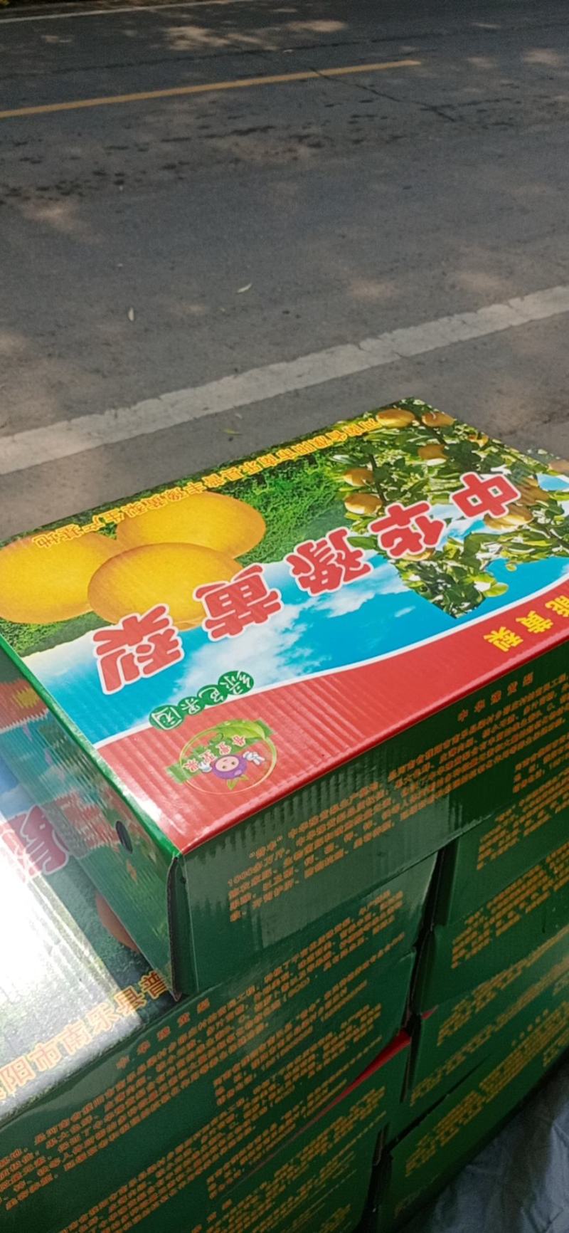 【推荐】晚秋黄梨黄梨产地直销现摘现发脆甜多汁无渣