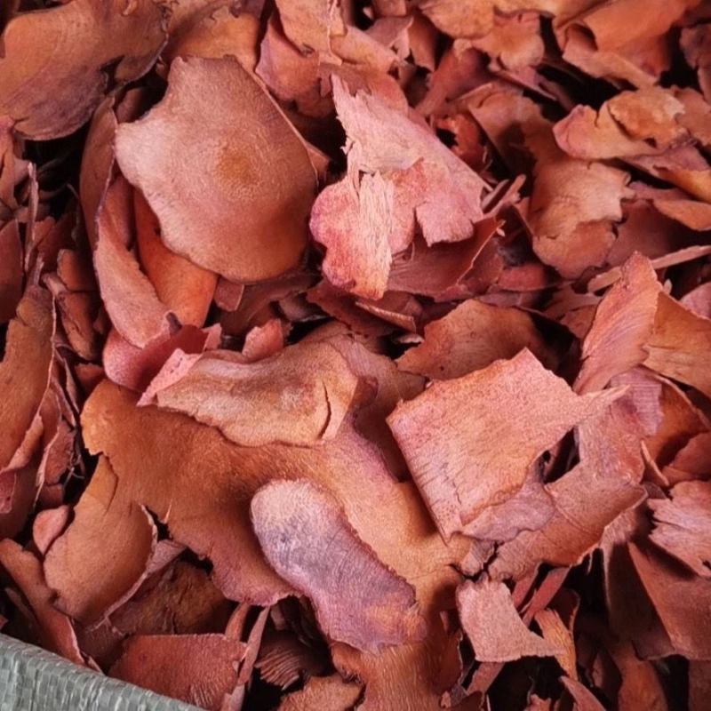 土茯苓白土茯苓粉质土茯苓产地直发代抓各种药方