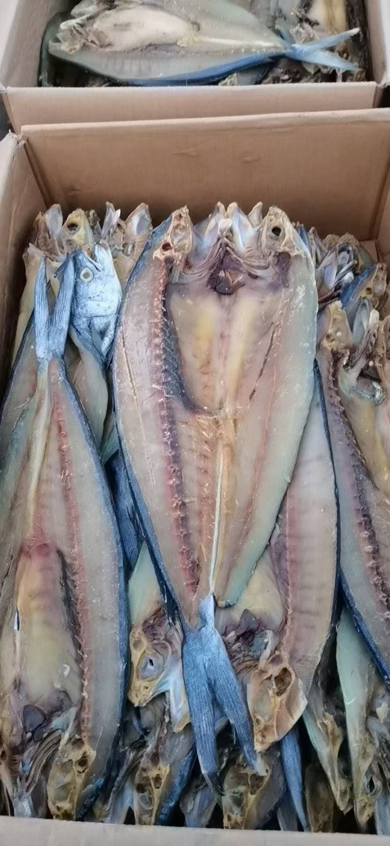 咸鱼刀鲅，海鱼肉质鲜美活鱼淹制一条一斤左右批发价不包邮