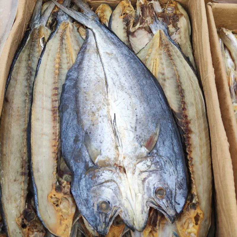 咸鱼刀鲅，海鱼肉质鲜美活鱼淹制一条一斤左右批发价不包邮