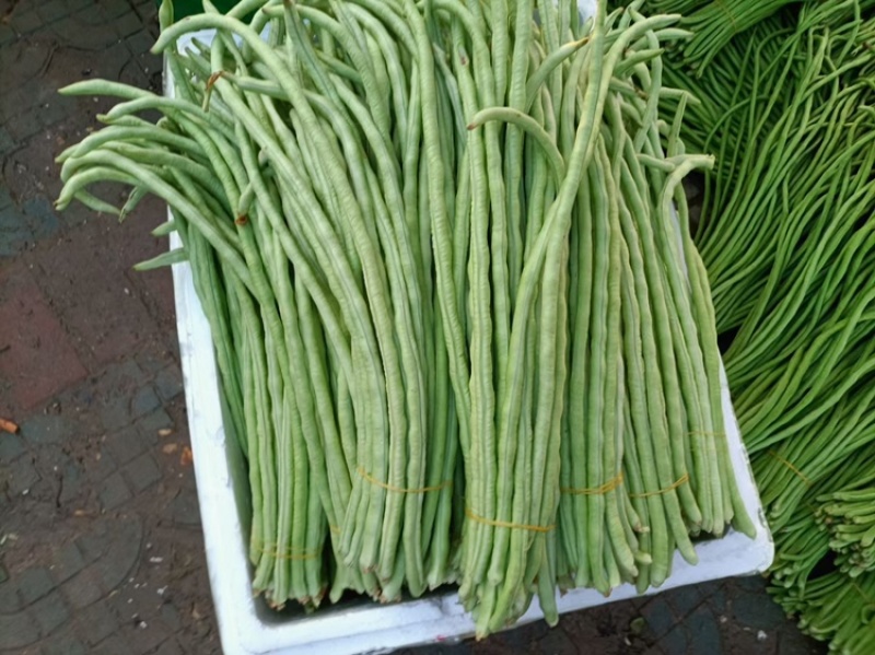 甜豆角基地种植一手货源新鲜质量保证正品价格便宜
