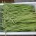 甜豆角基地种植一手货源新鲜质量保证正品价格便宜