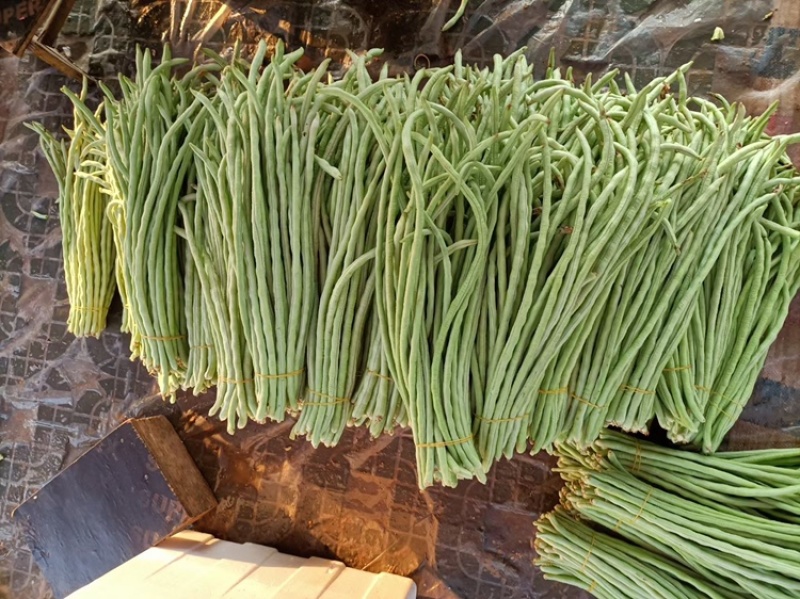 甜豆角基地种植一手货源新鲜质量保证正品价格便宜