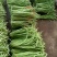 甜豆角基地种植一手货源新鲜质量保证正品价格便宜