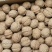 103云南薄皮核桃大果品种好的核桃薄壳一捏就开
