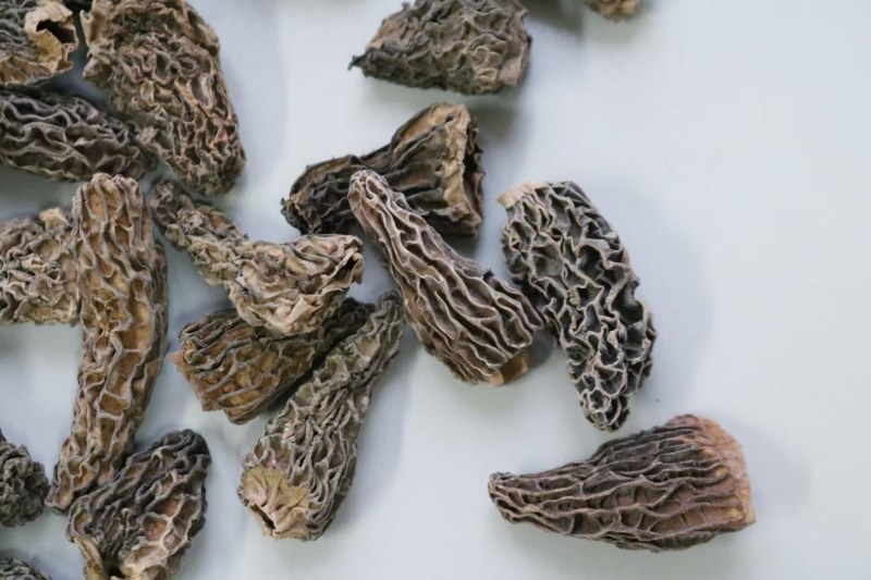 野生羊肚菌4cm足干货去柄颜色黑厚肉均匀
