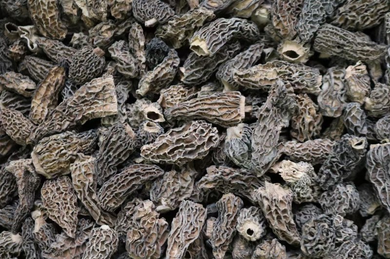 野生羊肚菌4cm足干货去柄颜色黑厚肉均匀