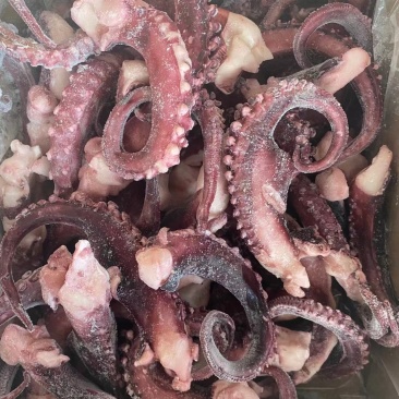 脆口须(鱿鱼系列)，品质优良，厂家供应，