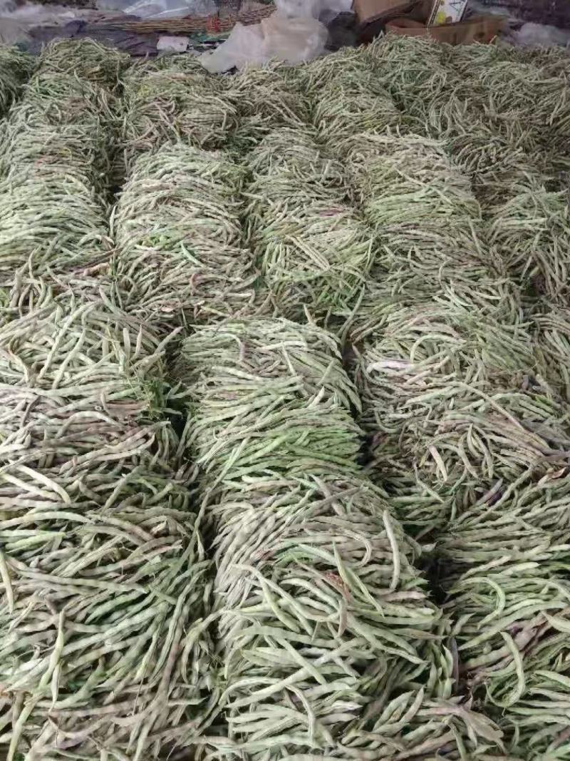 红豆角，大量上市，质量好，耐运输，产地专业代发团队！