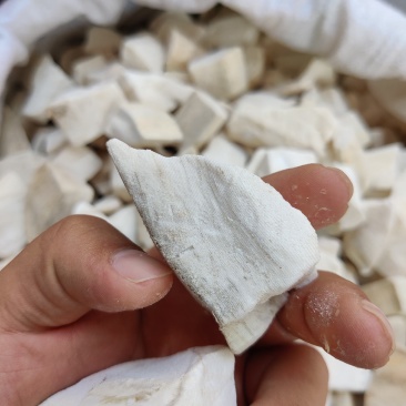 海螵硝乌贼骨规格齐全各种中药材批发零售