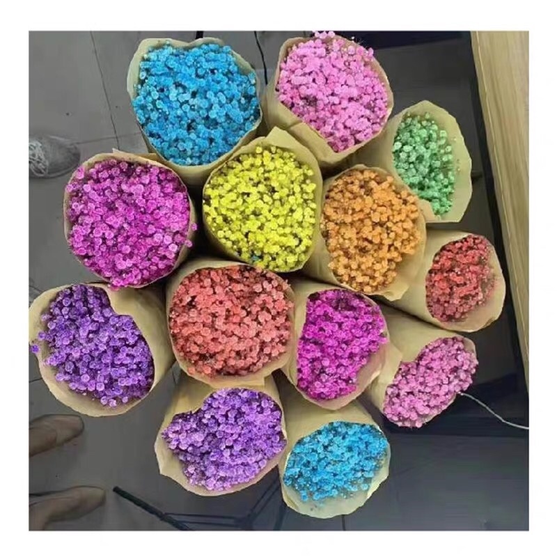 【满天星】鲜切花白色彩色齐全昆明鲜花基地直批新鲜包邮到家