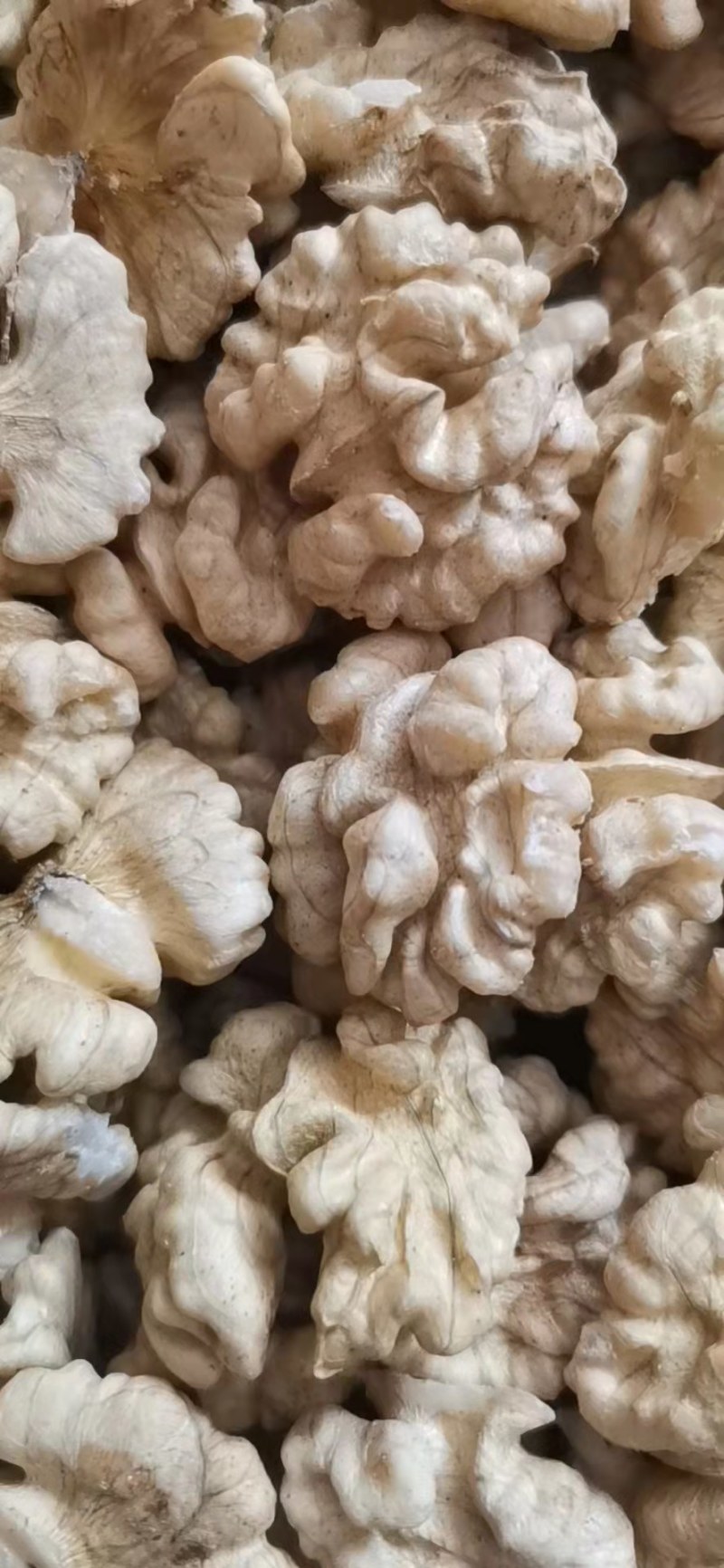 云南核桃仁，薄皮核桃果，2023年新货个大饱满，口感酥脆