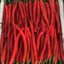 小皱皮，青线椒，红线椒，已大量上市