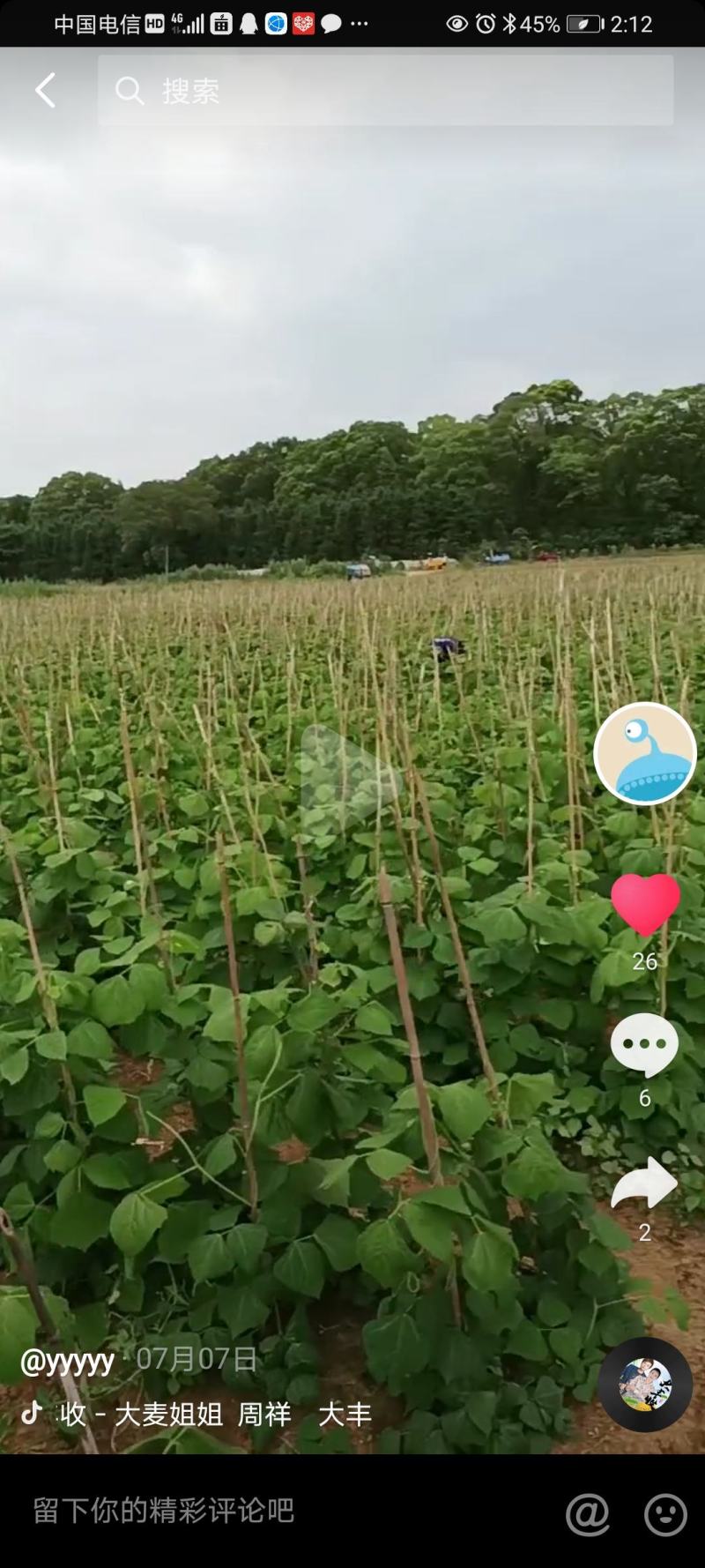 凉薯