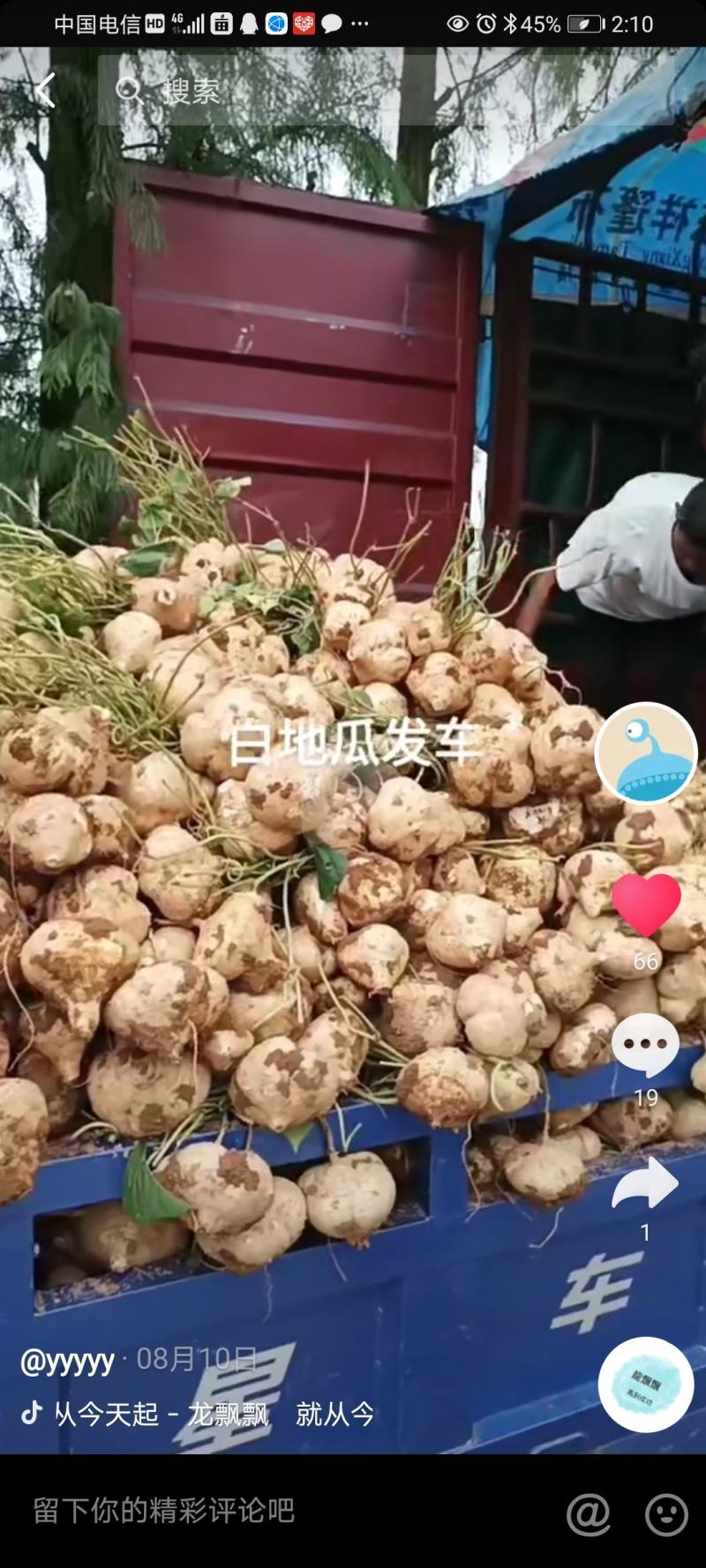 凉薯