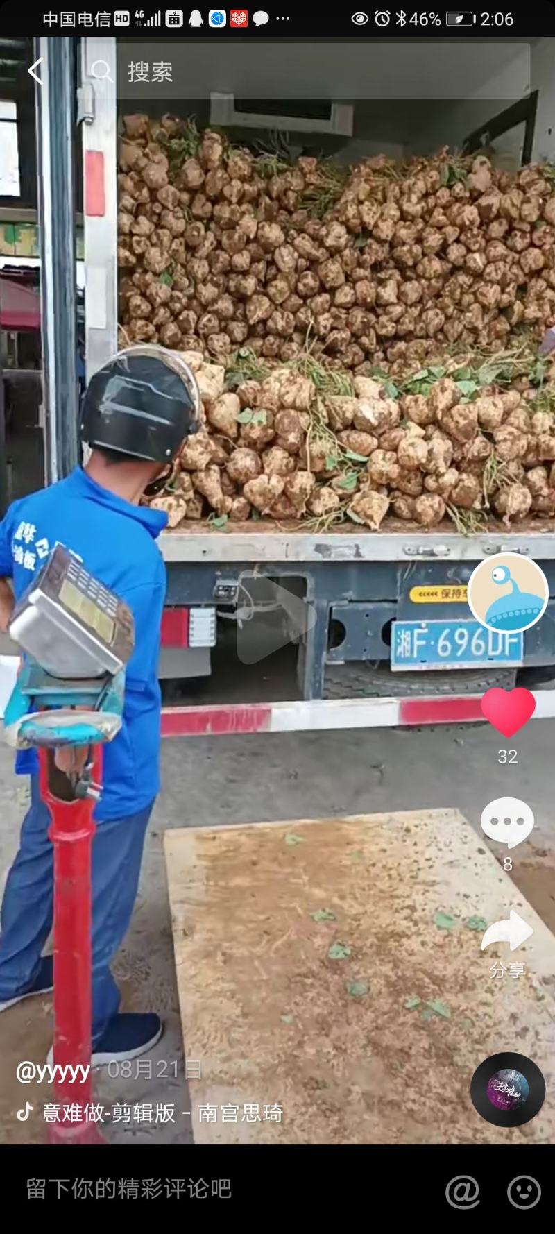 凉薯