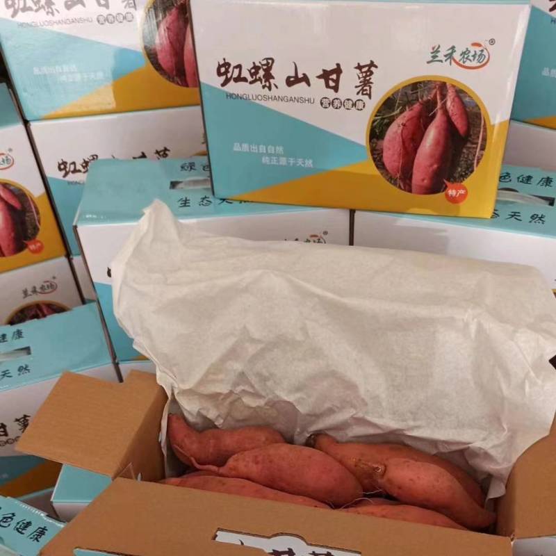 红薯烟薯25品种红薯