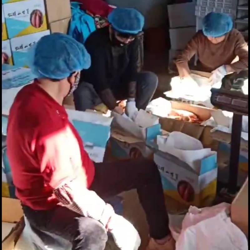 红薯烟薯25品种红薯