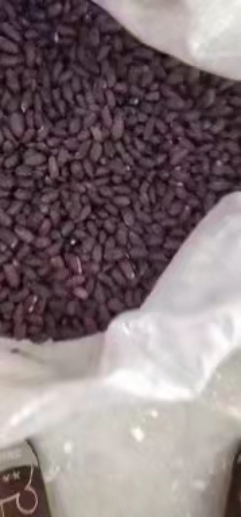 黑花生米