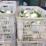 圆白萝卜--市场超市精品东台白罗卜、单位经营诚信可靠