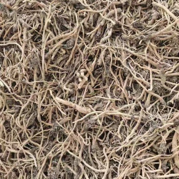 求购牡丹须子，黑牡丹皮。