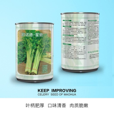 欧诺德星驰小香芹种子，速生亮度高，味清香，纤维少