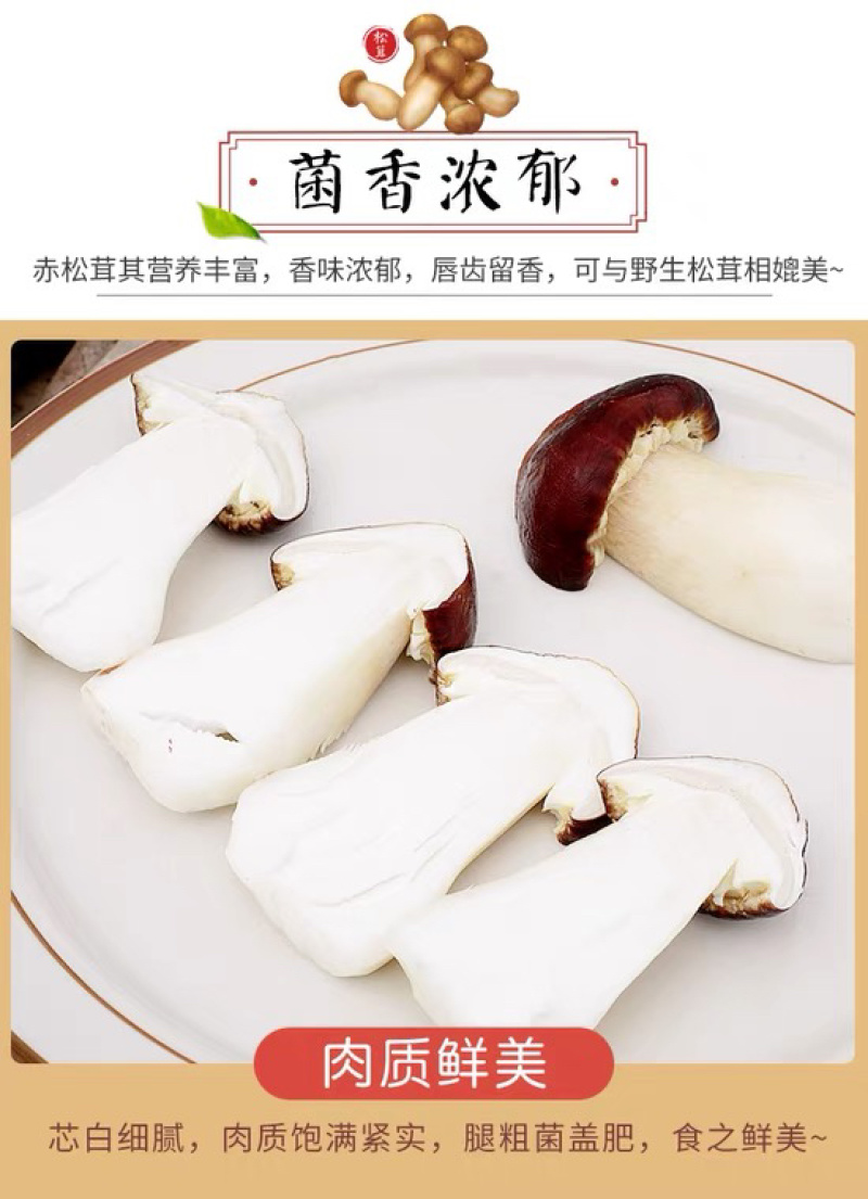 赤松茸菌种，大球盖菇菌种提供技术指导。三级栽培种有量可谈