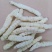 云南虫草参正品野生草石蚕中药材地蚕土冬虫草白虫草