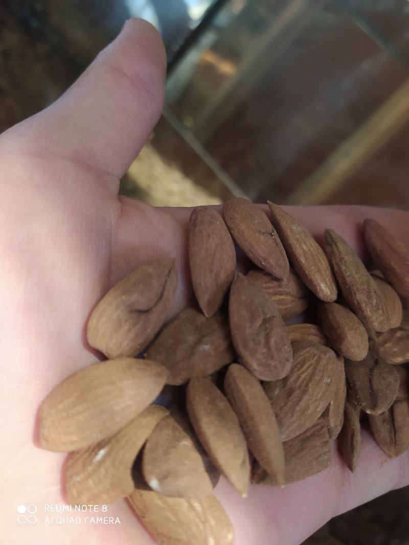 包邮包邮年新疆纸皮巴旦木仁，巴旦木仁新疆特产精品