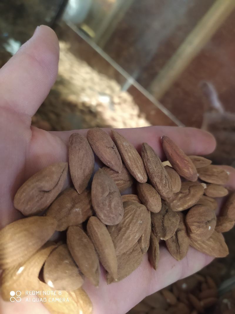 包邮包邮年新疆纸皮巴旦木仁，巴旦木仁新疆特产精品