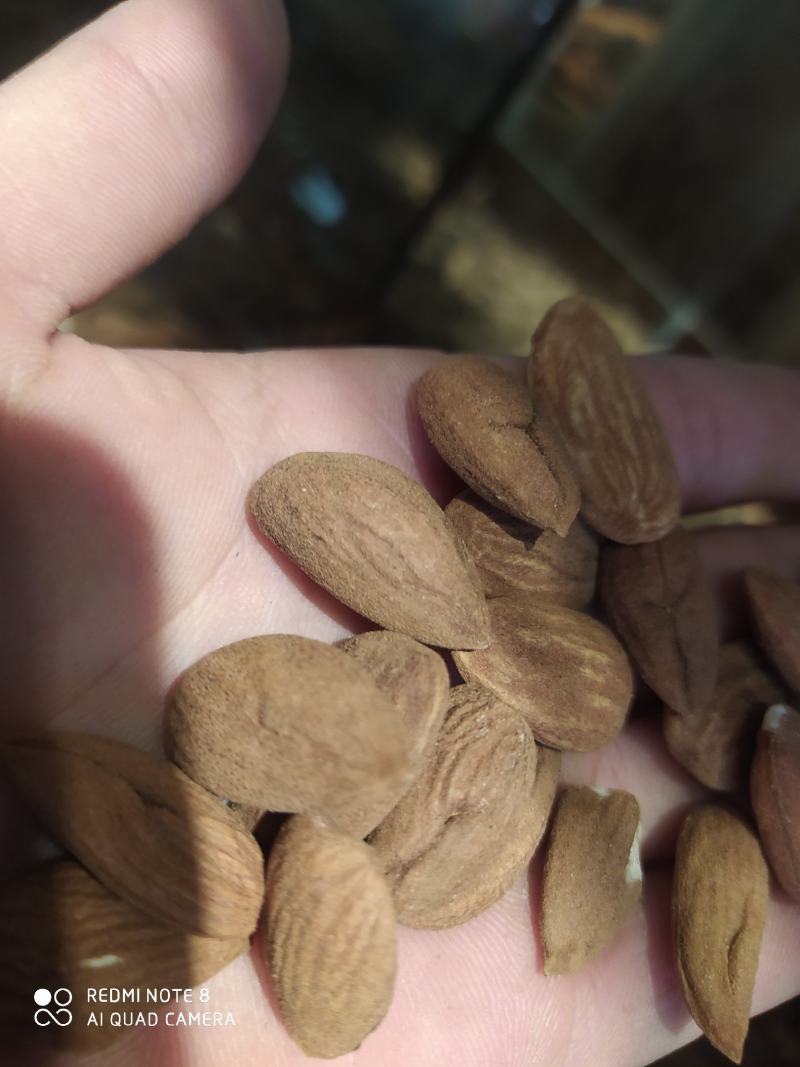 包邮包邮年新疆纸皮巴旦木仁，巴旦木仁新疆特产精品