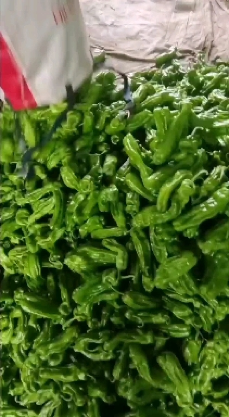 山东薄皮芜湖辣椒大量供应电商一件代发