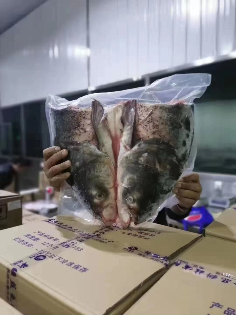 鱼头