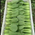 山东上海青，新鲜小油菜，货源稳定充足，长年代办，对接全国