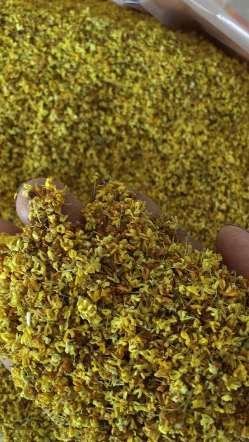 自产自销桂花干