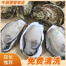 生蚝鲜活全壳牡蛎烧烤新鲜海蛎子半壳生蚝原产地汫洲镇直发