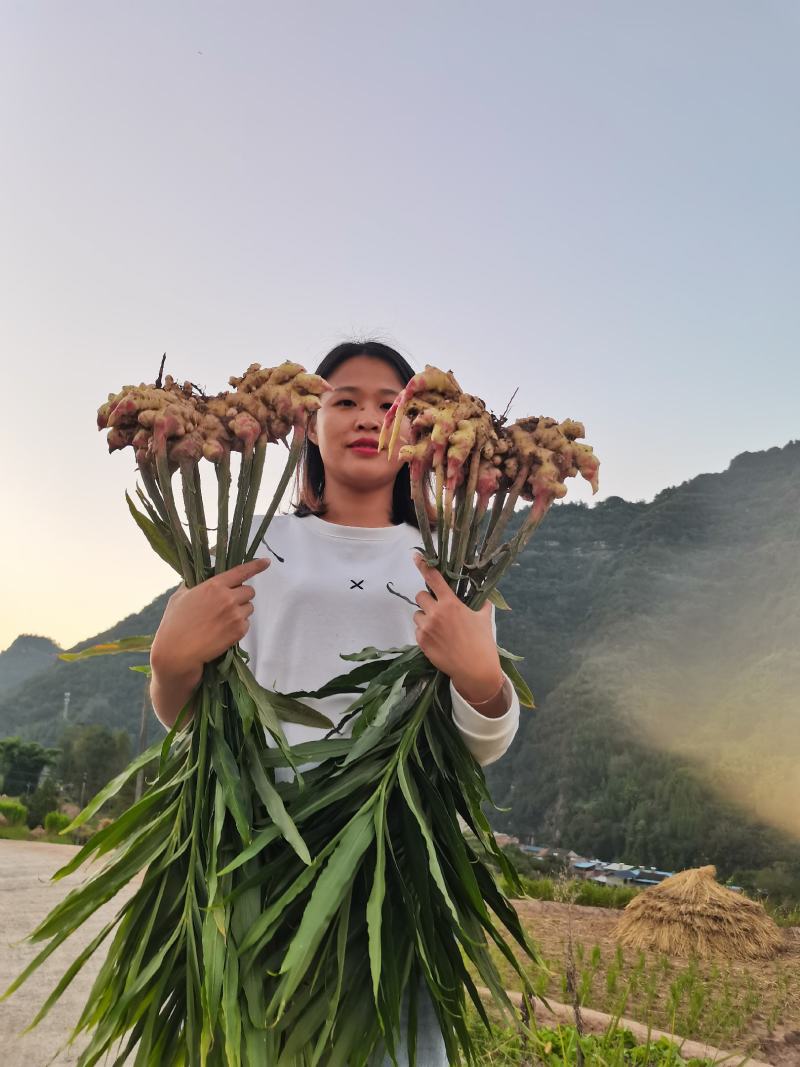 生姜