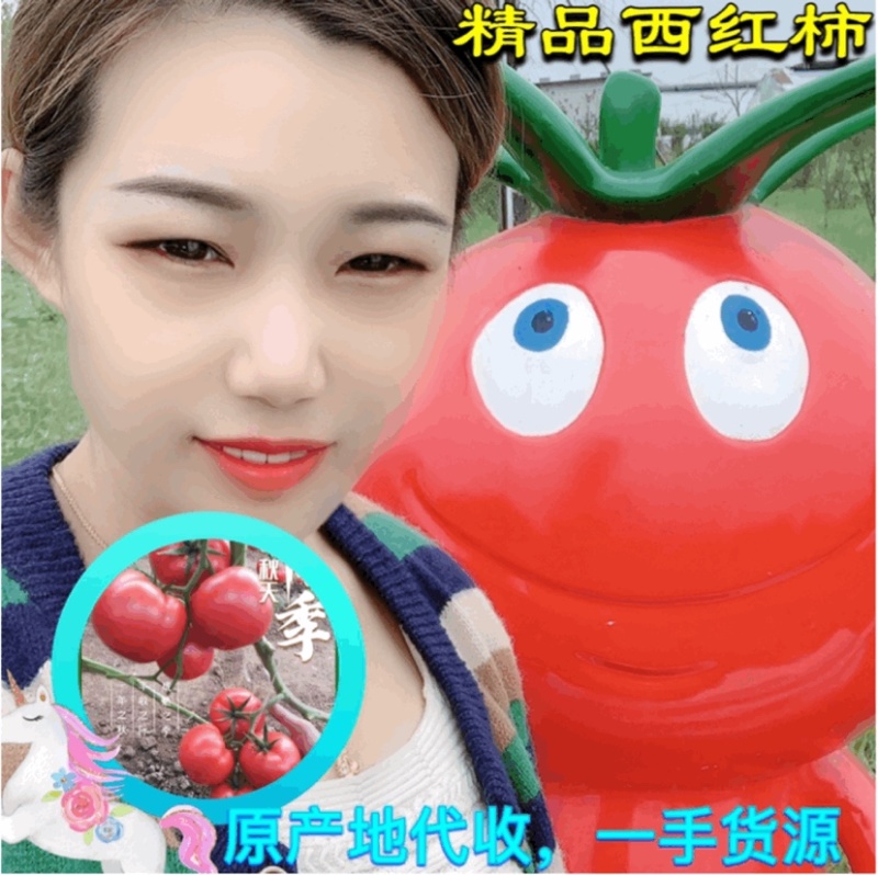 硬粉西红柿，量大质优，可供各大市场超市市场电商平台