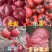 硬粉西红柿，量大质优，可供各大市场超市市场电商平台