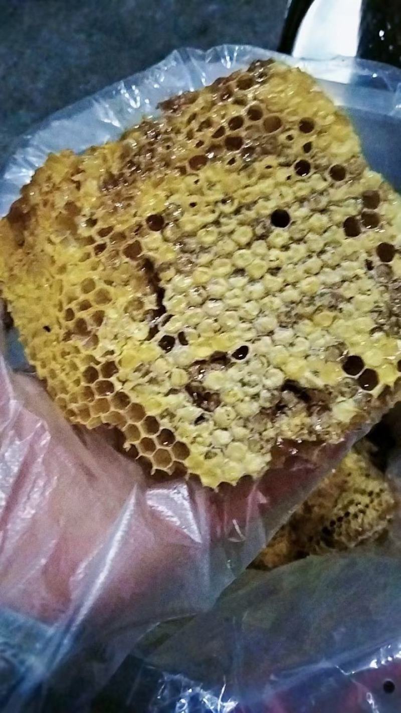 广西来宾市金秀县金秀大瑶山山卡卡蜂蜜