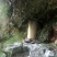 广西来宾市金秀县金秀大瑶山山卡卡蜂蜜