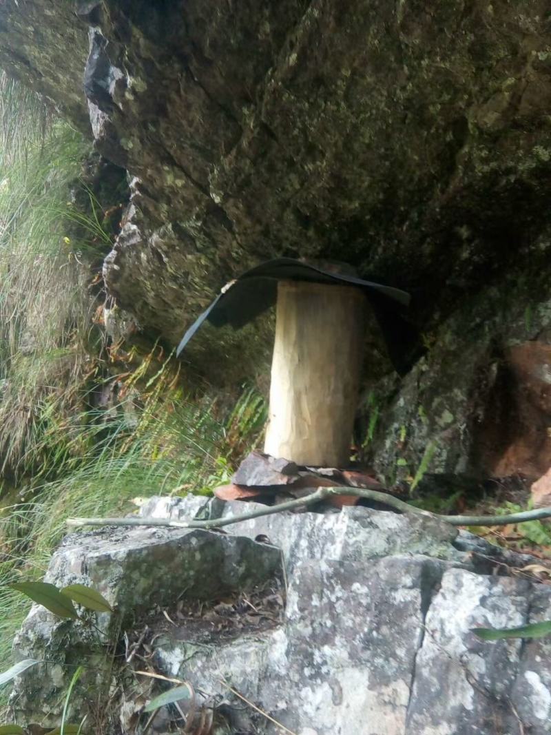广西来宾市金秀县金秀大瑶山山卡卡蜂蜜