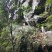 广西来宾市金秀县金秀大瑶山山卡卡蜂蜜