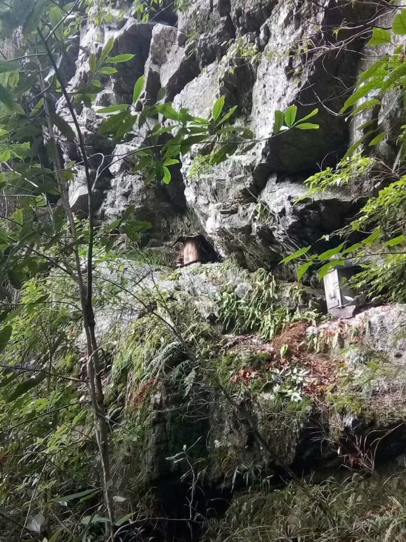 广西来宾市金秀县金秀大瑶山山卡卡蜂蜜