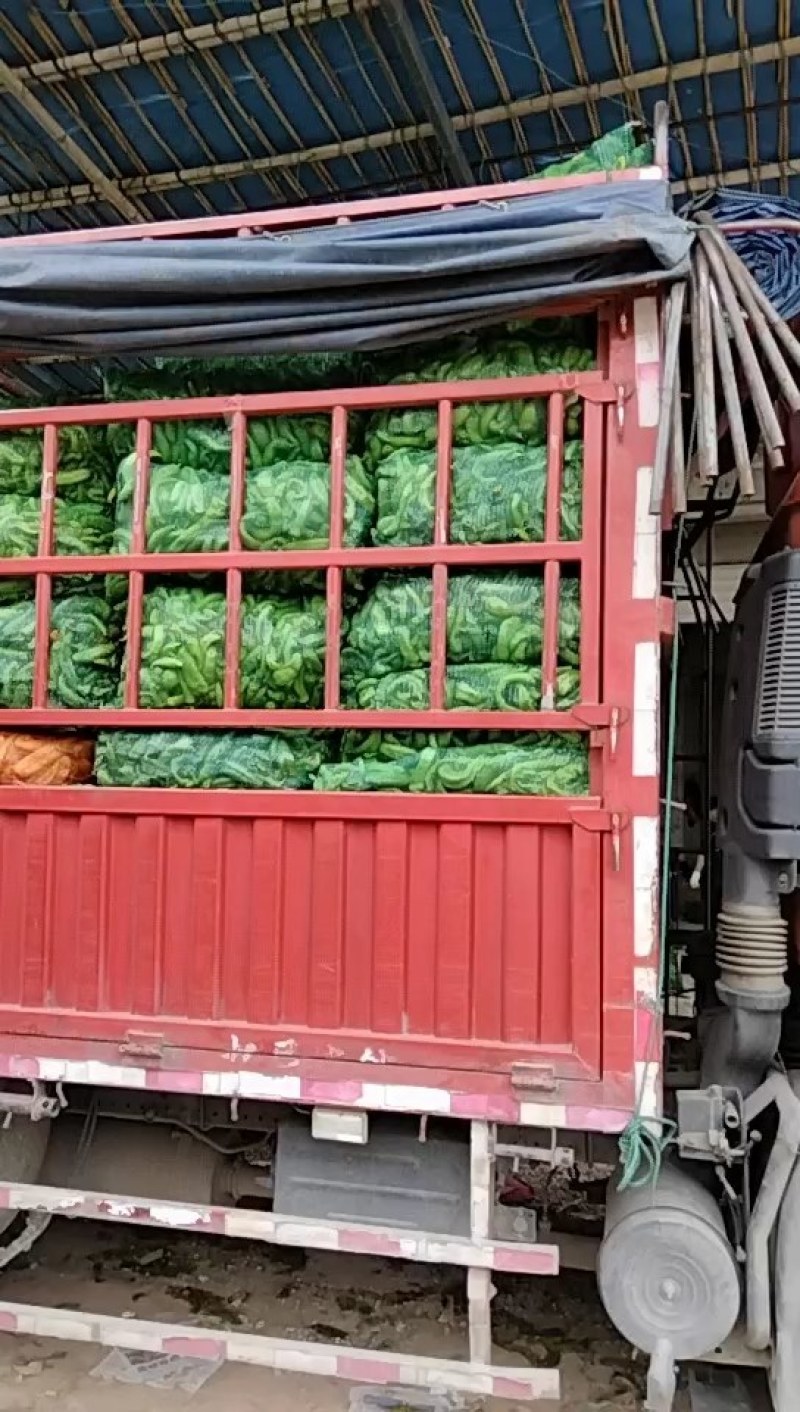 福建诏安黄皮辣椒，产地一手货源，量大从优，都是新鲜货源