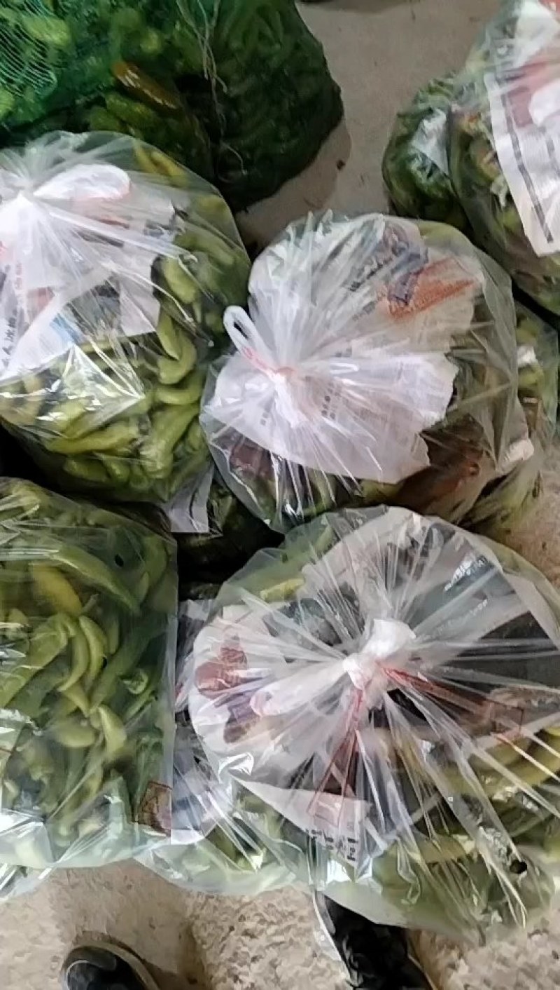 福建诏安黄皮辣椒，产地一手货源，量大从优，都是新鲜货源