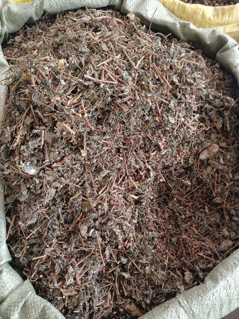 藤茶别名溪黄茶甘露藤茶龙须茶莓茶茶叶白茶